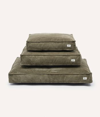 Green Corduroy Dog Bed, Cuadra