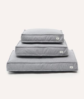 Grey Dog Bed, Cuadra