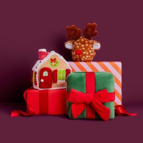 Holiday25_Toy_Present_Front