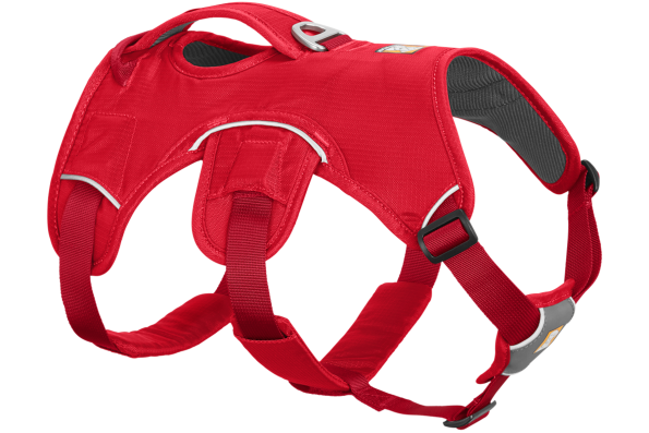 Web Master™ Reflective Dog Harness
