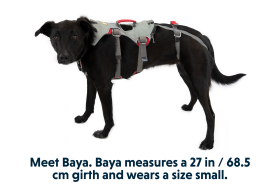 30301-Doubleback-Harness-Cloudburst-Gray-Right