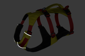 30551_Flagline-Harness_Basalt-Gray_Front_SMALL_def57d96-6766-4d7a-87e0-33213e5db7b2