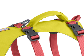 30551_Flagline-Harness_Basalt-Gray_Front_SMALL_def57d96-6766-4d7a-87e0-33213e5db7b2