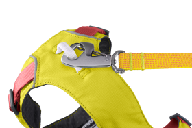 30551_Flagline-Harness_Basalt-Gray_Front_SMALL_def57d96-6766-4d7a-87e0-33213e5db7b2