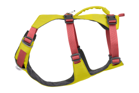30551_Flagline-Harness_Basalt-Gray_Front_SMALL_def57d96-6766-4d7a-87e0-33213e5db7b2