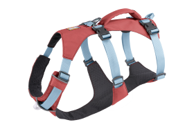 30551_Flagline-Harness_Basalt-Gray_Front_SMALL_def57d96-6766-4d7a-87e0-33213e5db7b2