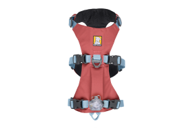 30551_Flagline-Harness_Basalt-Gray_Front_SMALL_def57d96-6766-4d7a-87e0-33213e5db7b2