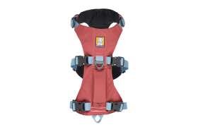 30551_Flagline-Harness_Basalt-Gray_Front_SMALL_def57d96-6766-4d7a-87e0-33213e5db7b2