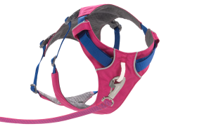 30551_Flagline-Harness_Basalt-Gray_Front_SMALL_def57d96-6766-4d7a-87e0-33213e5db7b2