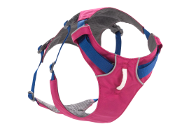30551_Flagline-Harness_Basalt-Gray_Front_SMALL_def57d96-6766-4d7a-87e0-33213e5db7b2