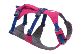 30551_Flagline-Harness_Basalt-Gray_Front_SMALL_def57d96-6766-4d7a-87e0-33213e5db7b2