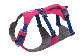 30551_Flagline-Harness_Basalt-Gray_Front_SMALL_def57d96-6766-4d7a-87e0-33213e5db7b2