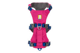 30551_Flagline-Harness_Basalt-Gray_Front_SMALL_def57d96-6766-4d7a-87e0-33213e5db7b2