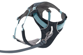 30551_Flagline-Harness_Basalt-Gray_Front_SMALL_def57d96-6766-4d7a-87e0-33213e5db7b2