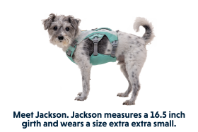 3078-Swamp-Cooler-Harness-Graphite-Gray-Right-SMALL