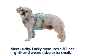 3078-Swamp-Cooler-Harness-Graphite-Gray-Right-SMALL