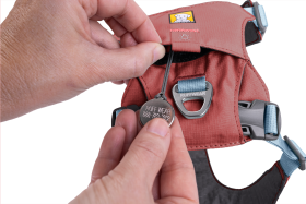 CompressedPNG-30821_Hi-_-Light-Harness_Alpenglow-Pink-Right_STUDIO