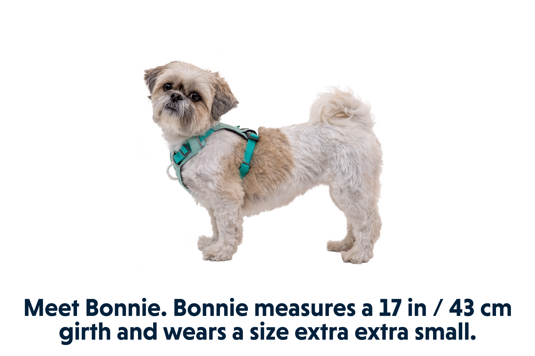 30821_Hi-_-Light-Harness_Sage-Green_BONNIE_XXSmall