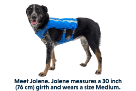 5080_TrailRunnerRunningVest_BluePool_Right_SMALL_f08c6bbf-a486-44a6-a711-01455a7f67fe