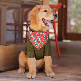 Fall-24_Apple-of-my-Eye_Bandana_Embroidered