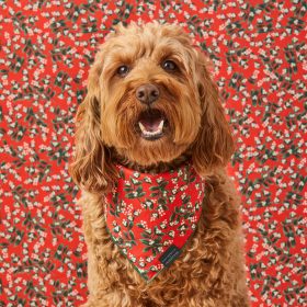 Holiday24_Mistletoe_Bandana