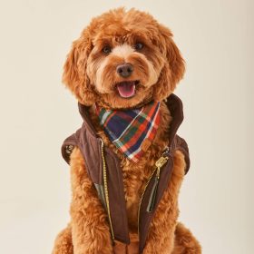 Fall24_Dakota-Plaid_Bandana_Embroidered