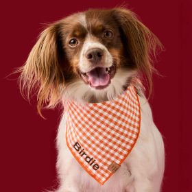 Fall25_Cider-Gingham_Bandana_Embroidered