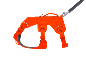 30104_Web-Master-Harness_Red-Canyon_3_4-Right_SMALL_7b6e93be-4675-4e2f-a851-45bd6cf4e1b6