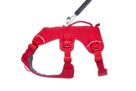 30104_Web-Master-Harness_Red-Canyon_3_4-Right_SMALL_7b6e93be-4675-4e2f-a851-45bd6cf4e1b6