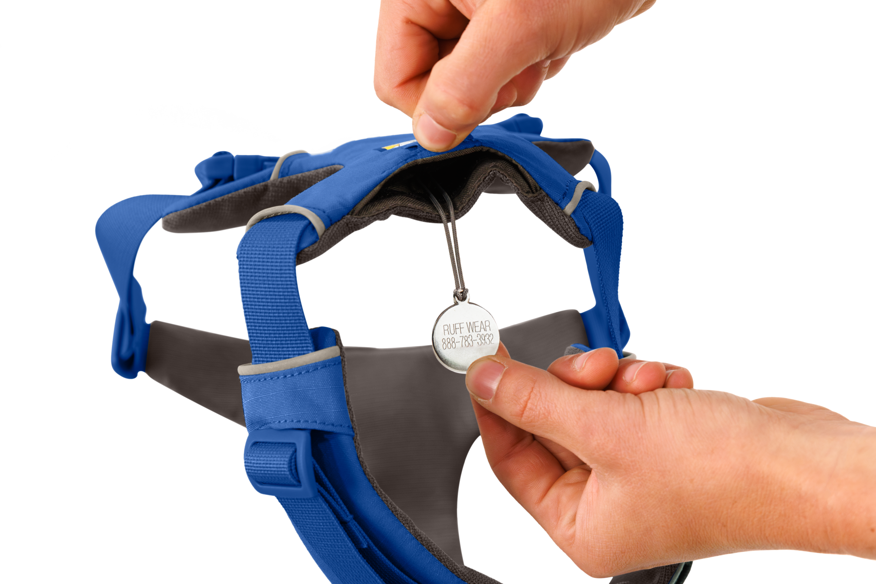 CompressedPNG-30503_Front-Range-Harness-Blue-Pool_ID-Tag_STUDIO