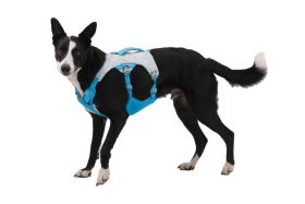 CompressedPNG-30781_Swamp-Coller-Harness_Graphite-Gray_3-4_right-STUDIO