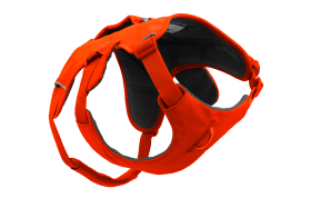 30104_Web-Master-Harness_Red-Canyon_3_4-Right_SMALL_7b6e93be-4675-4e2f-a851-45bd6cf4e1b6