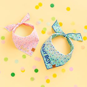 Birthday_Sprinkles_Embroidered