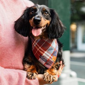 Fall25_Maple-Plaid_Bandana