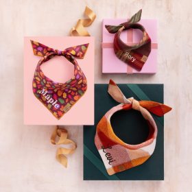 Fall25_Orchard-Plaid_Bandana_Embroidred