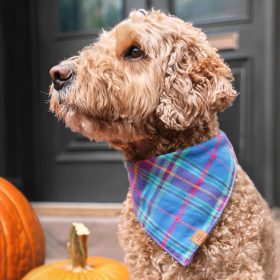 Fall25_Piper-Plaid_Bandana_EMbroidered