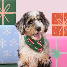 Holiday24_Candy-Canes_Knit_Bandana_Embroidered