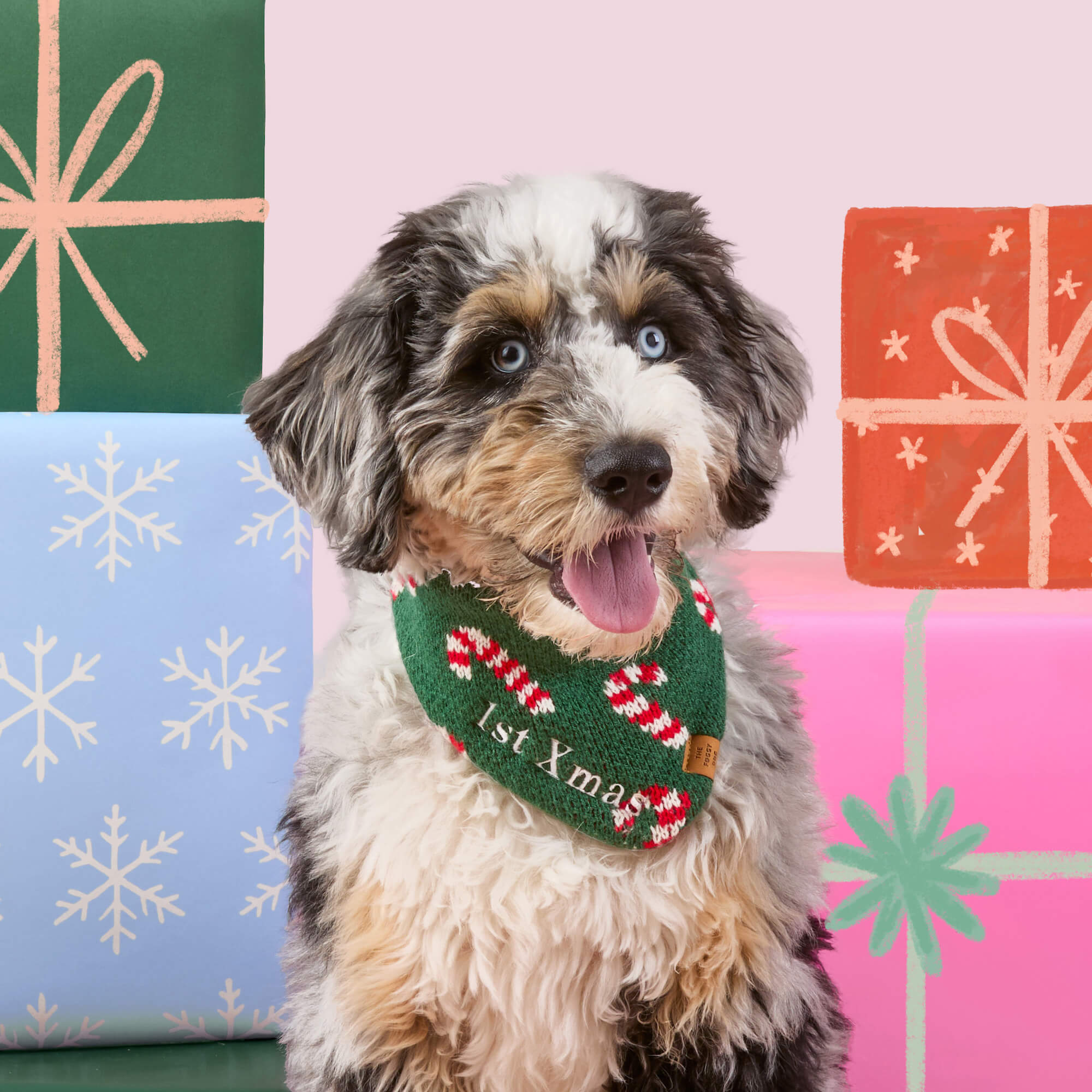 #Modeled by Blue (25lbs) in Small