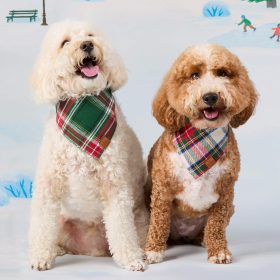 Holiday25_Regent_Plaid_Bandana_Embroidered