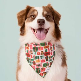 Holiday25_RPCxTFD_Holiday-Gifts_Bandana
