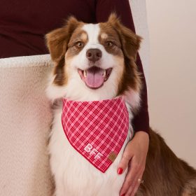 Heather-Taylor-Home_Katherine_Plaid_Bandana_Embroidered