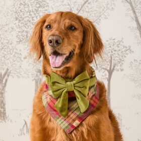 Fall25_Orchard-Plaid_Bandana_Embroidred