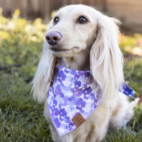 Pressed-Pansies_Bandana_Embroidered_Bella