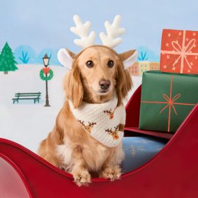 Holiday25_Reindeer-Knit_Bandana