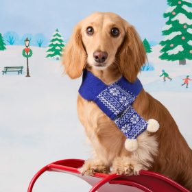 Holiday25_Scarf_S_Users_Shared_CaptureSessions_FoggyDog_08_06_2025FoggyDog_Output_Holiday25_Scarf_Snow-Day_Embroidered.tifnow-Day_Embroidered