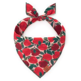 Fall-24_Apple-of-my-Eye_Bandana_Embroidered