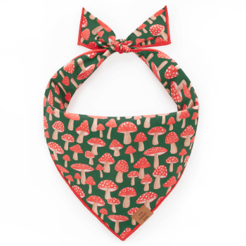 Mushroom Meadow Dog Bandana from The Foggy Dog