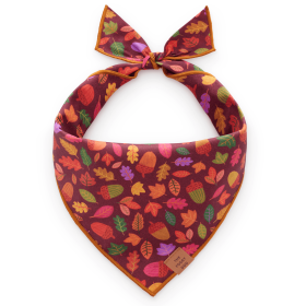 Fall25_Nuts-About-You_Bandana_Embroidered