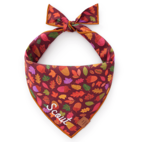 Nuts About You Dog Bandana from The Foggy Dog