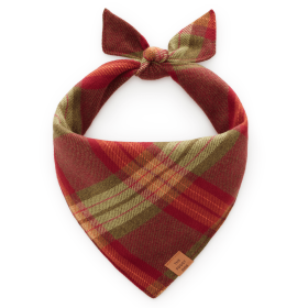 Fall25_Orchard-Plaid_Bandana_Embroidred
